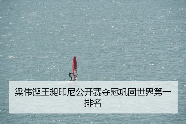 梁伟铿王昶印尼公开赛夺冠巩固世界第一排名