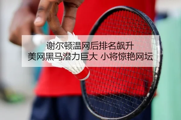 谢尔顿温网后排名飙升 美网黑马潜力巨大 小将惊艳网坛